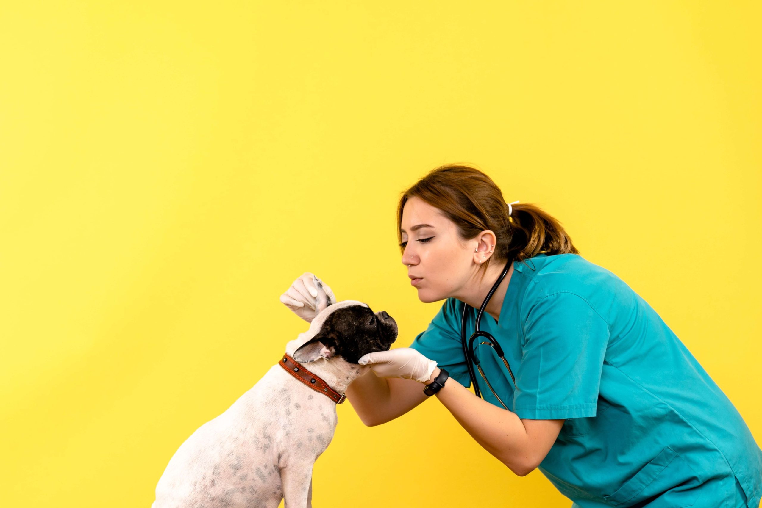 Gespetfood-blog-web-2