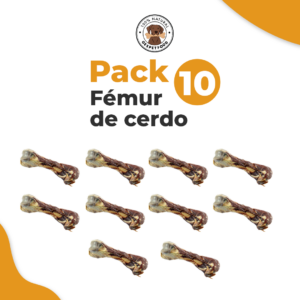Fémur de Cerdo