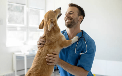 Leishmaniosis en Perros