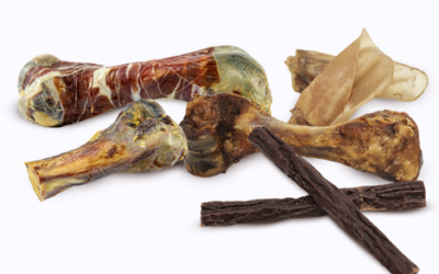 Características de los mejores snacks naturales para perros