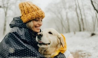 Protege a tu perro en invierno