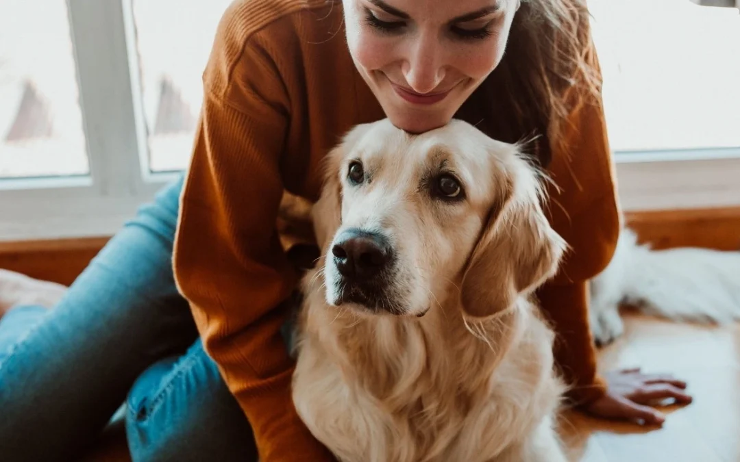 Consejos para ayudar a los perros adoptados
