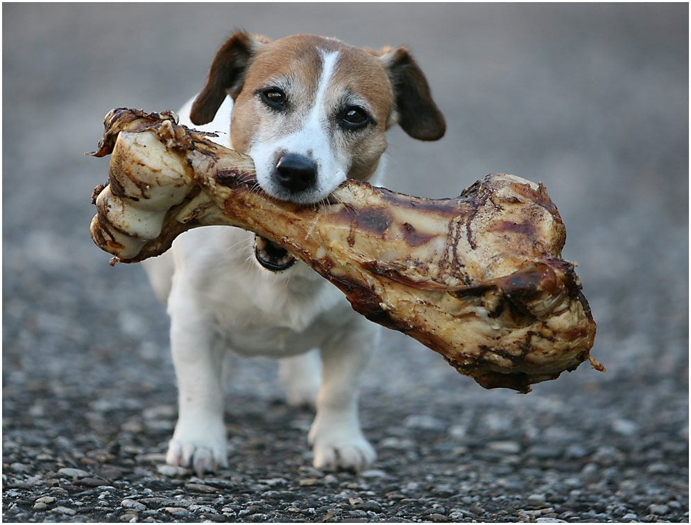 snack-size