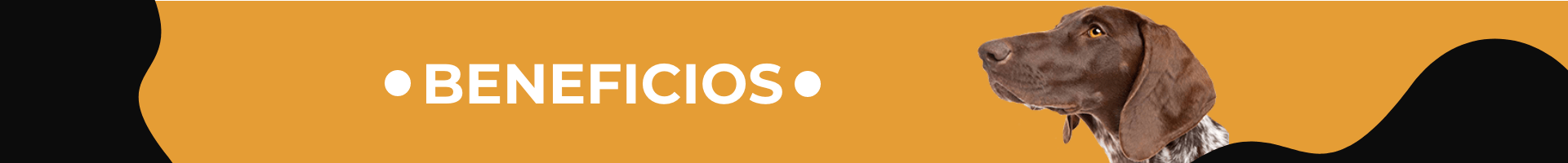 beneficios_banner