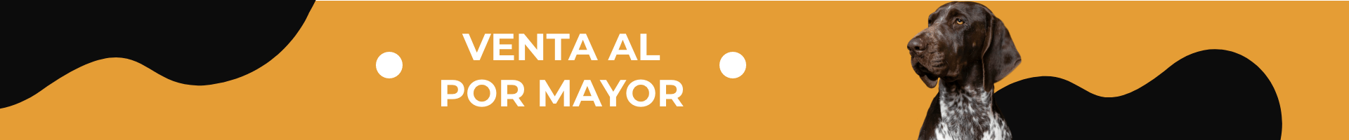 mayorista_banners