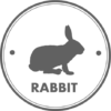 rabbit rabbit