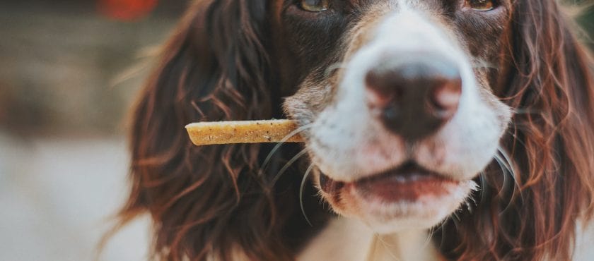 por_que_los_snacks_naturales por_que_los_snacks_naturales