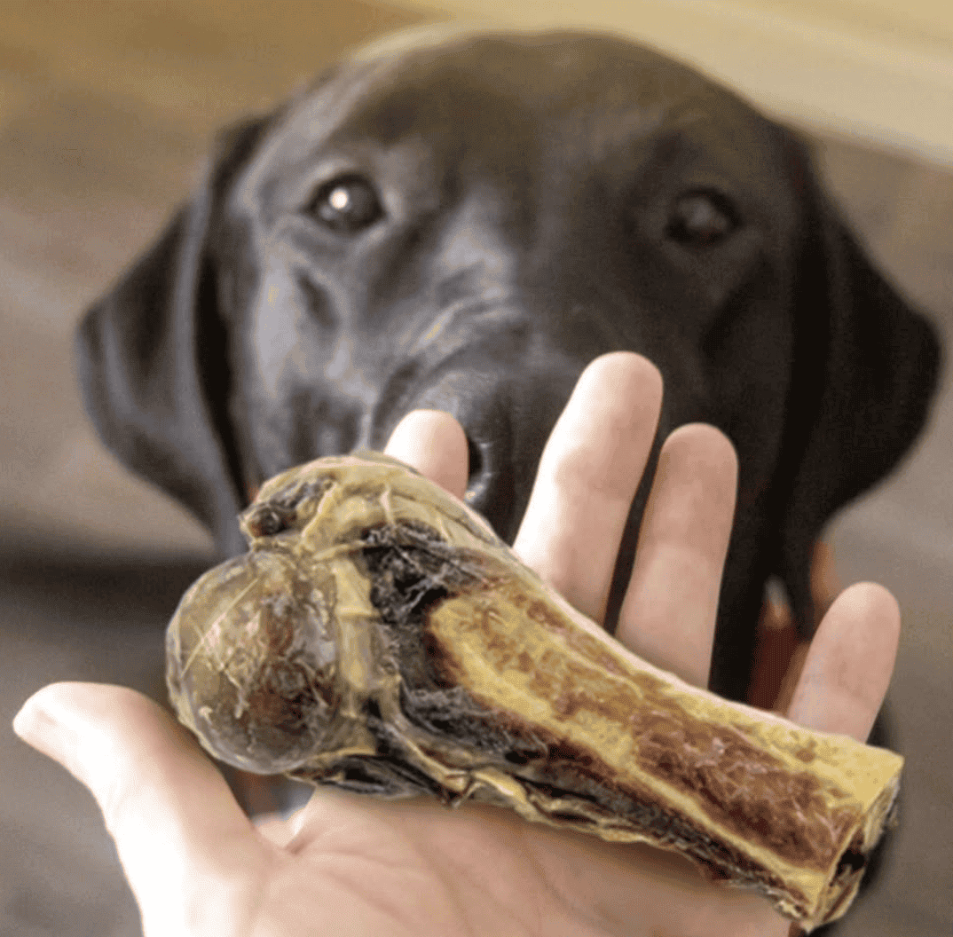 huesos-naturales-para-perros