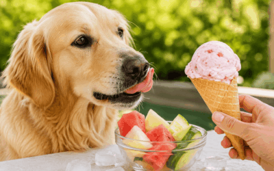 ¿Puede un perro comer helado? Los mejores alimentos refrescantes para este verano