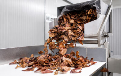 How natural dog treats are made: from ingredient to reward